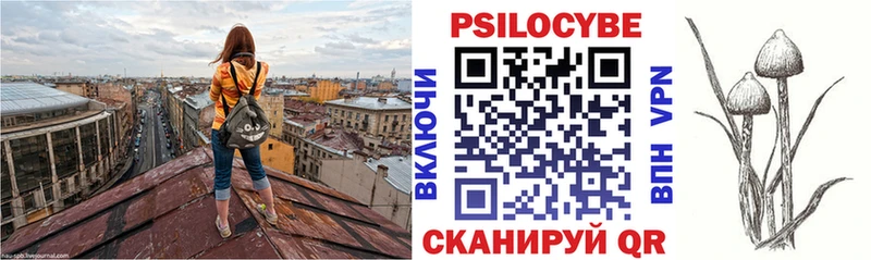 Псилоцибиновые грибы Psilocybine cubensis Старый Оскол
