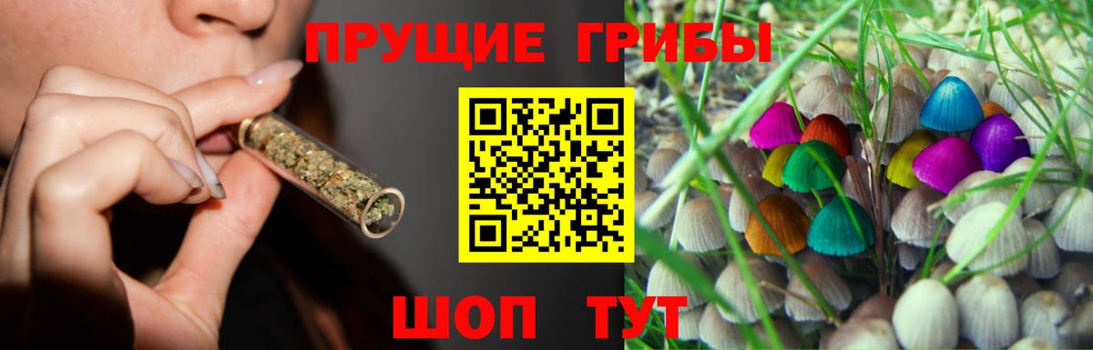 Галлюциногенные грибы мухоморы Старый Оскол